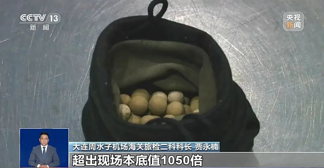 美丽云南微科普