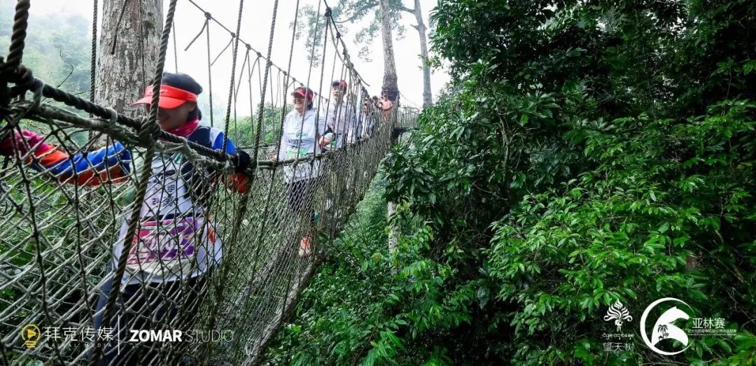 西双版纳望天树景区