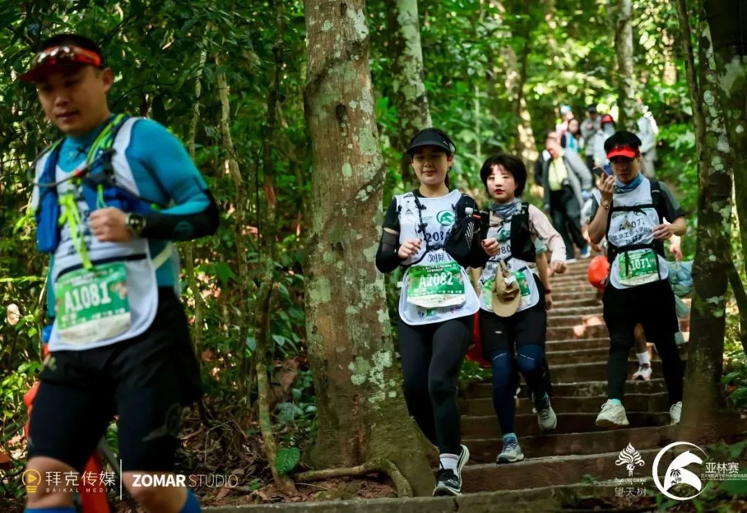 西双版纳望天树景区