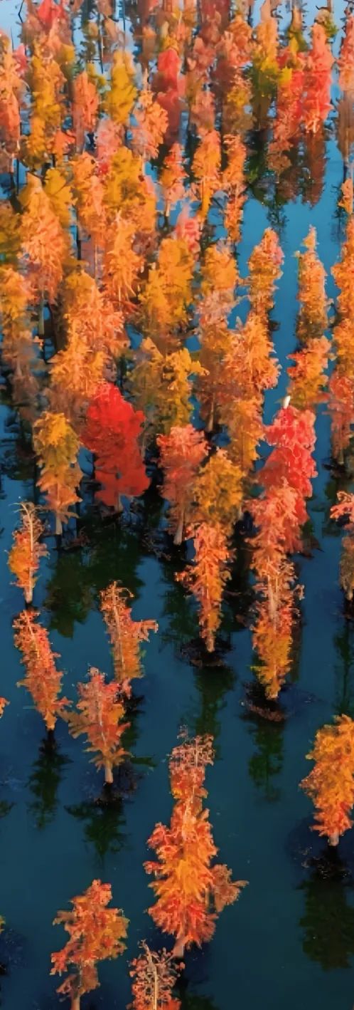 晋宁 诗意的栖居地