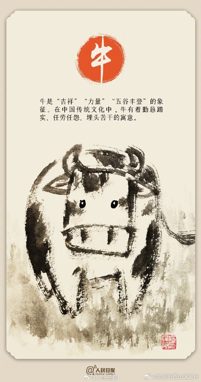 昆明市西山区发布