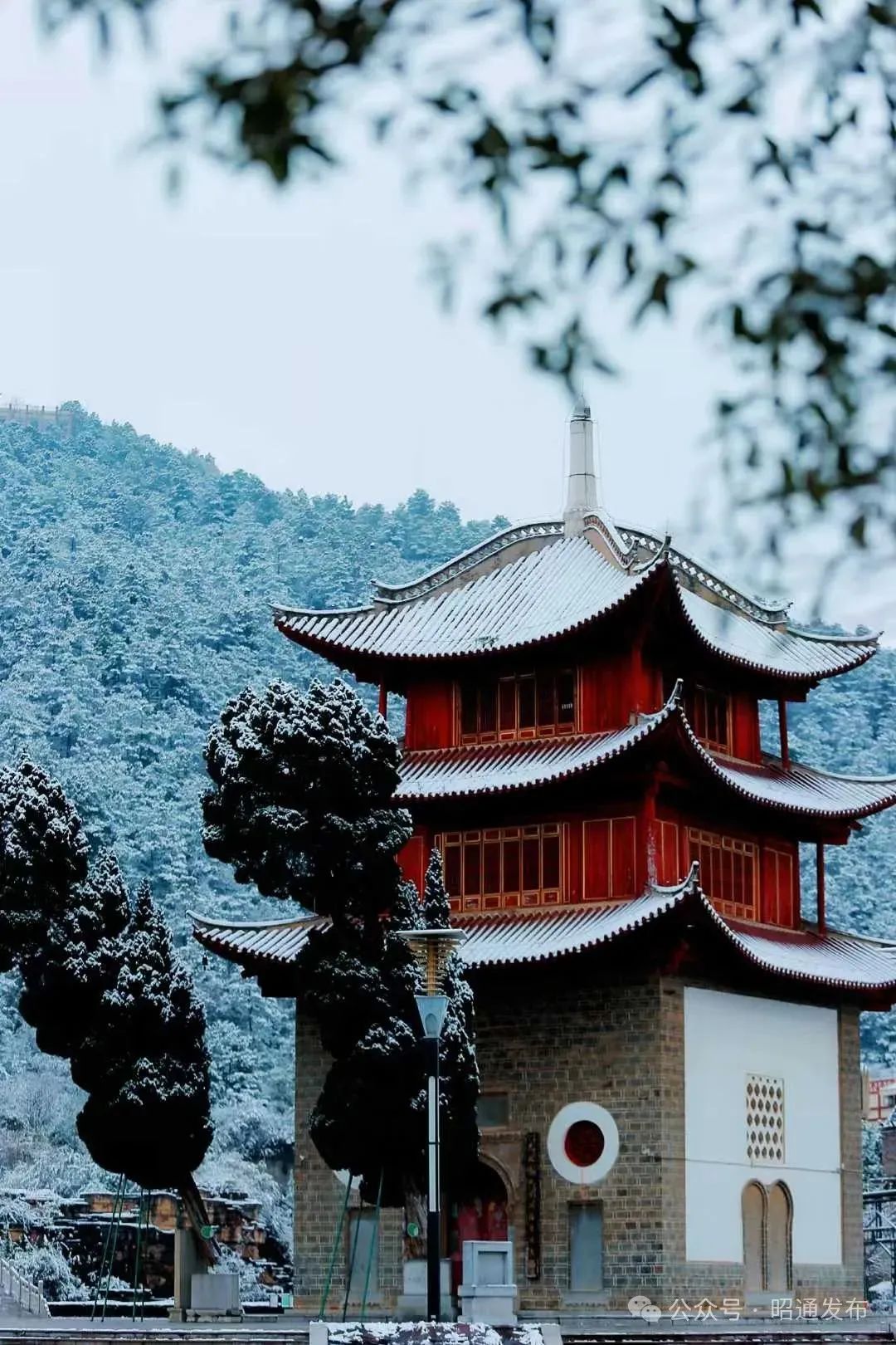 8099999街头巷尾微信