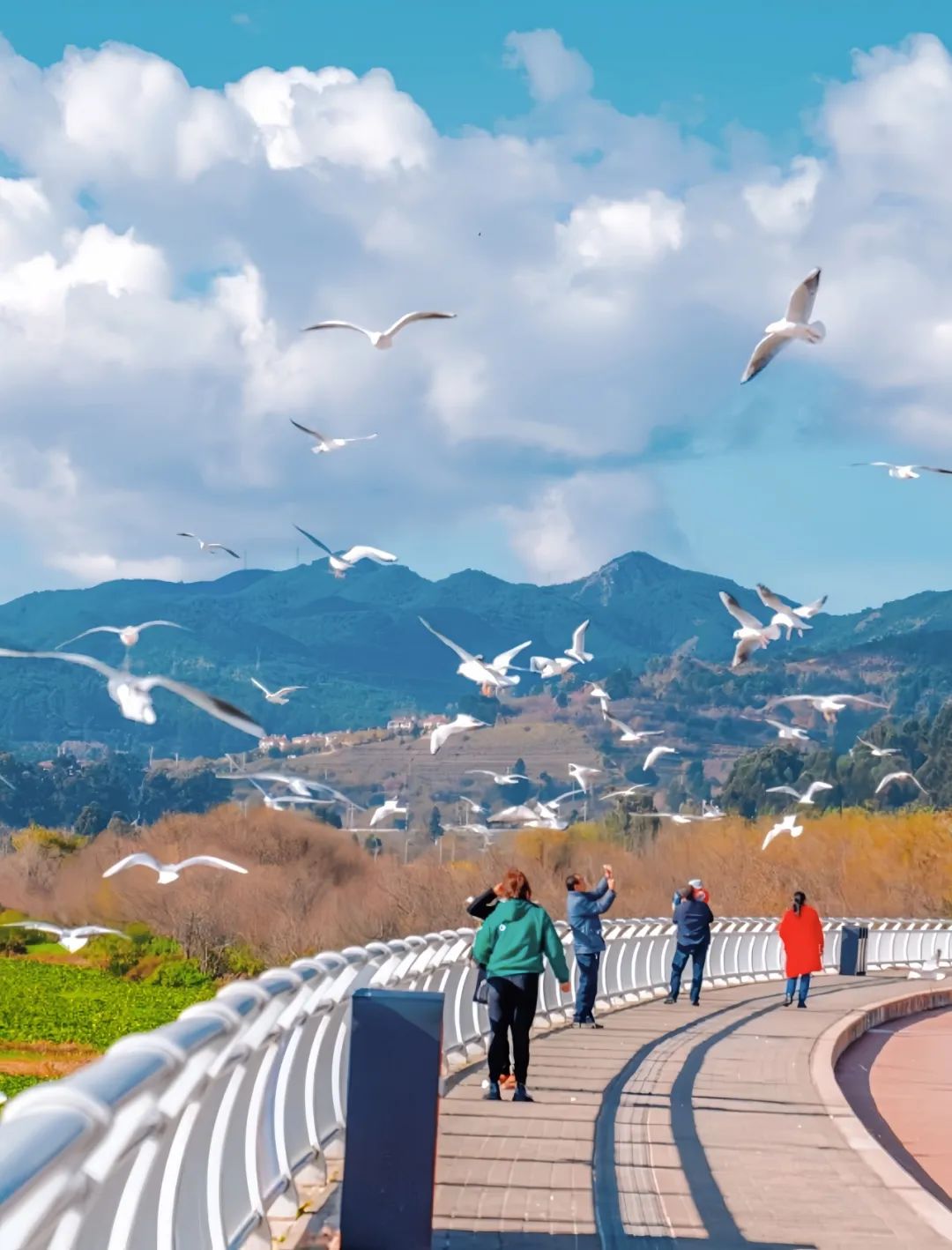 晋宁 诗意的栖居地
