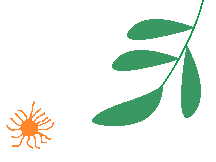 云南省中医医院