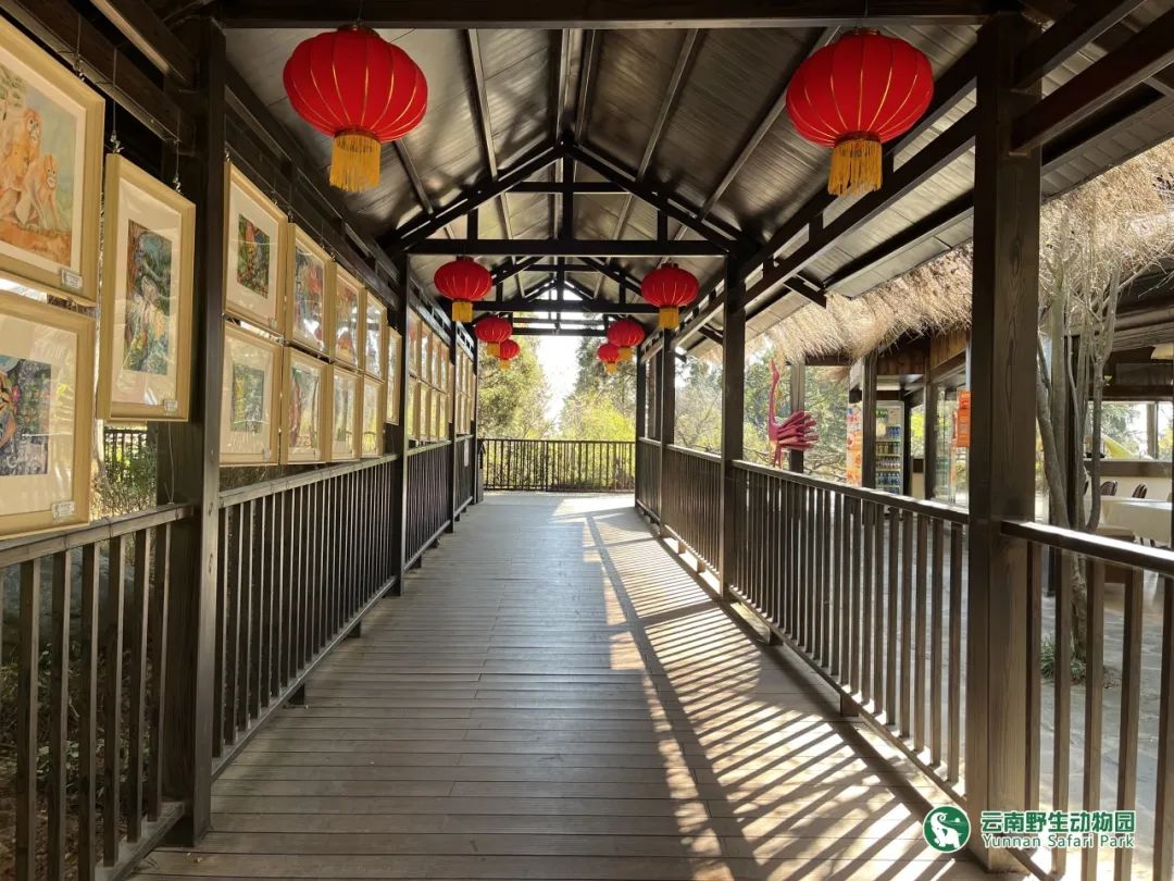 云南野生动物园