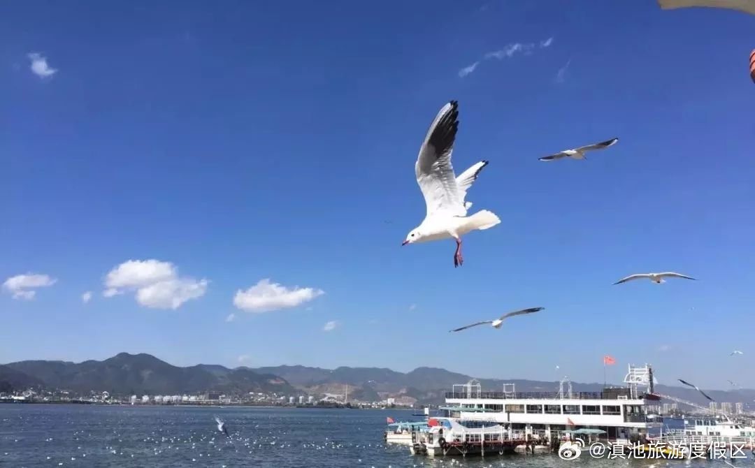 滇池旅游度假区