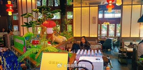 昆明信息港微博