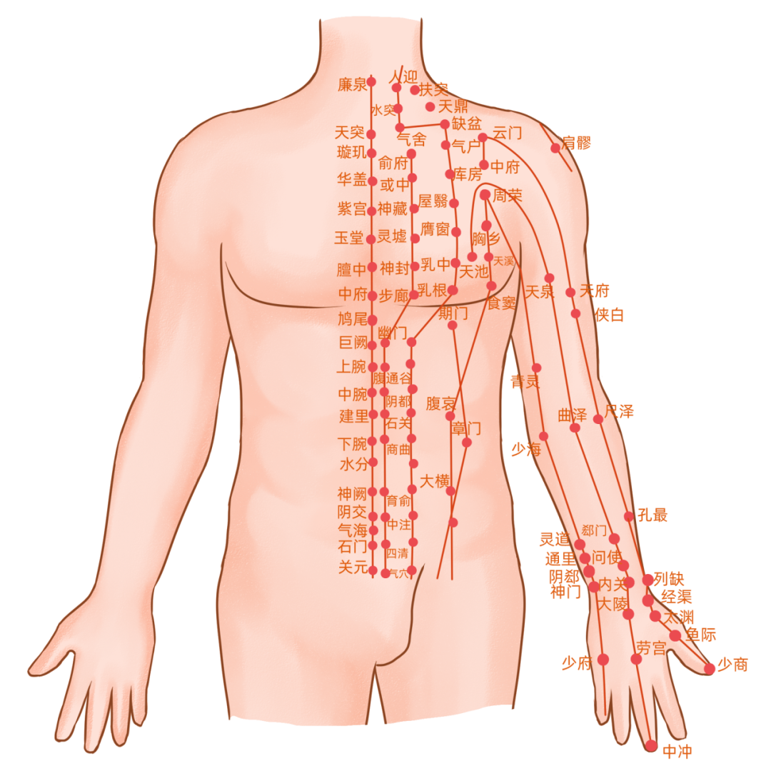 云南省中医医院