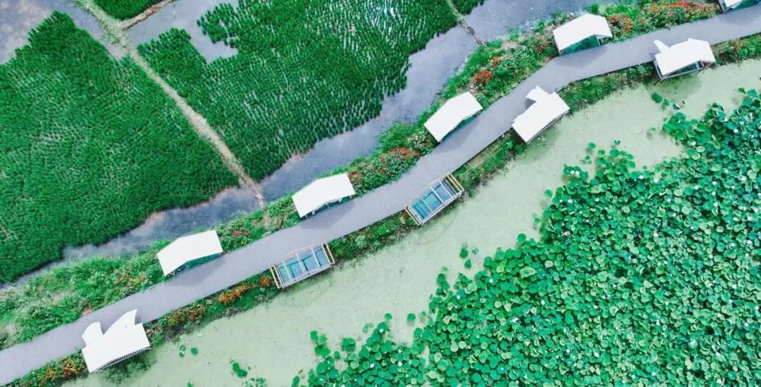 晋宁 诗意的栖居地