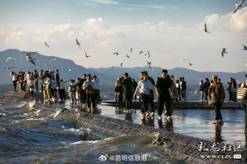 昆明信息港微博