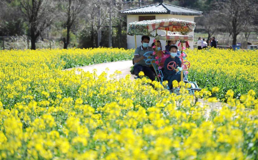 昆明文旅