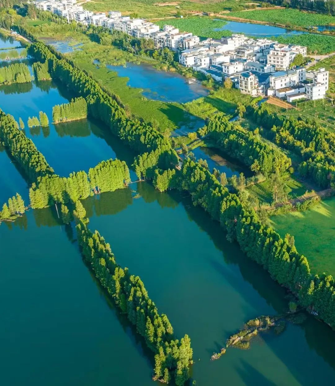 晋宁 诗意的栖居地