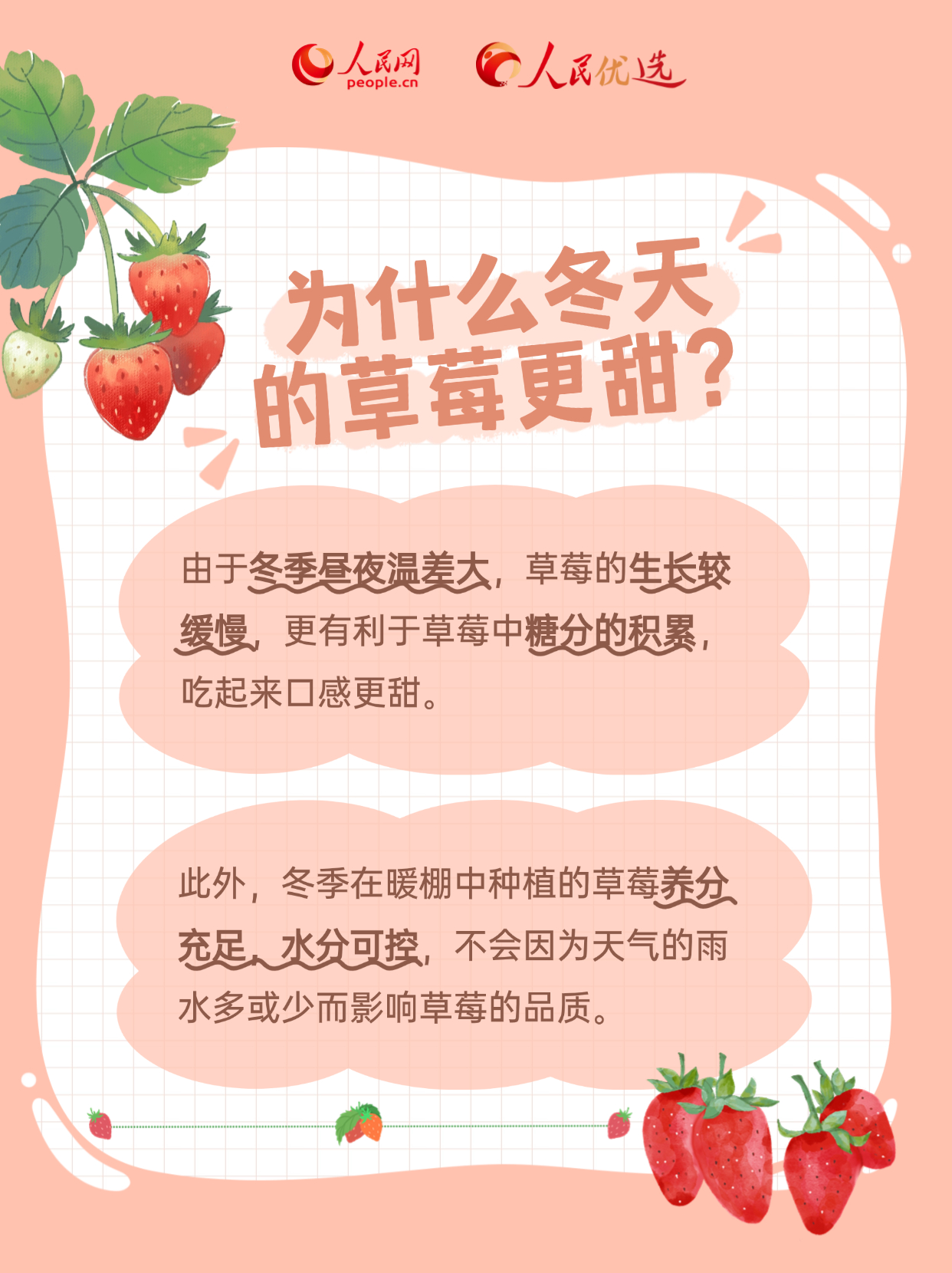 人民网