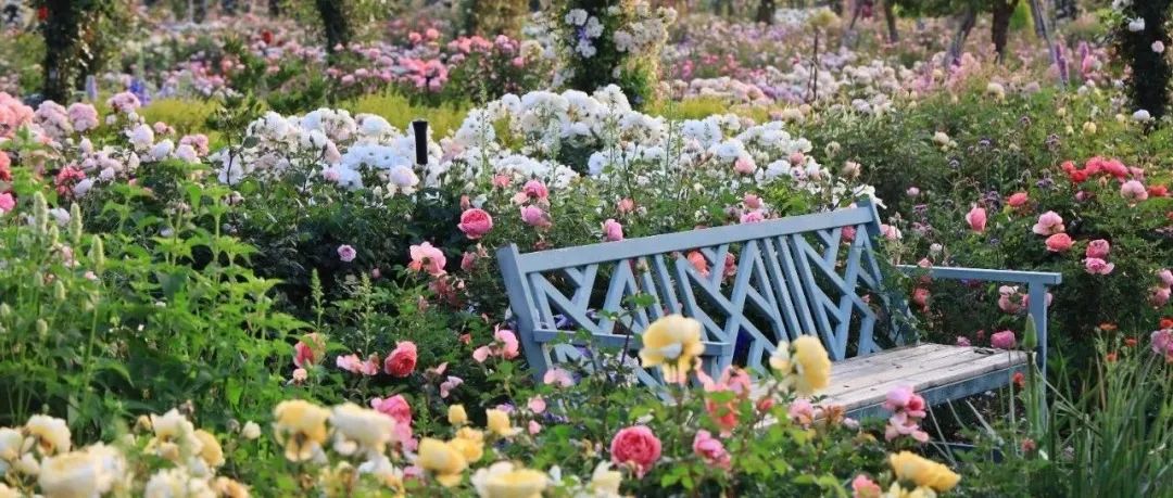 昆明阳宗海风景名胜区