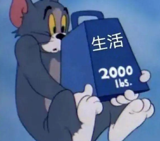 云南依法治省