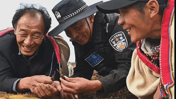 云南1人入选！2024最美基层民警名单公布