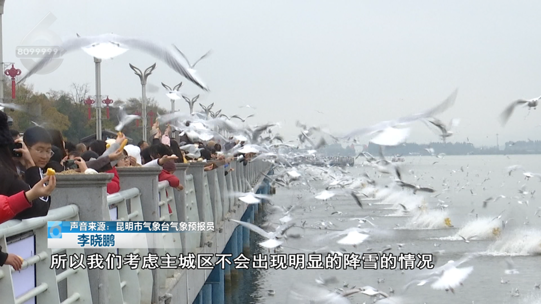 8099999街头巷尾微信