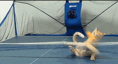 傍晚是运动的黄金时间 