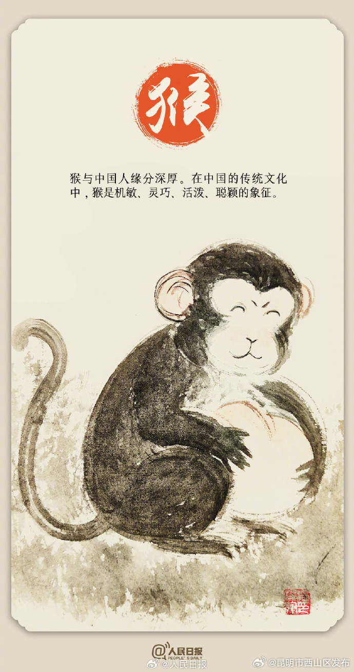 昆明市西山区发布