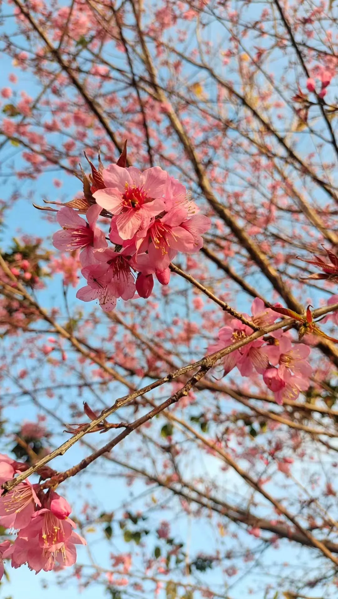 昆明文旅