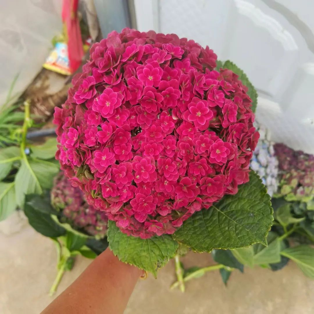 晋宁 诗意的栖居地