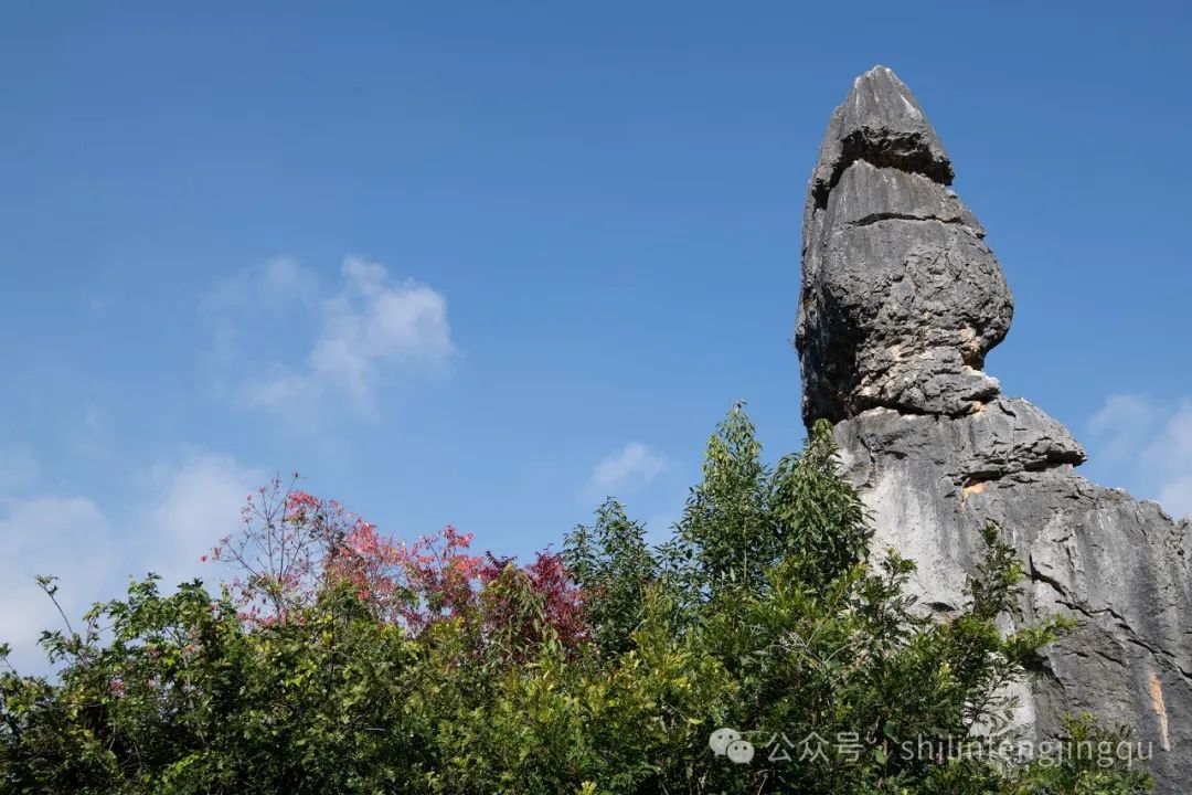 石林融媒