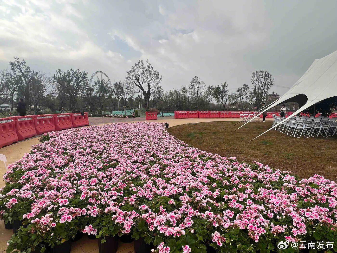 昆明首个城市园林策展体验中心即将开园