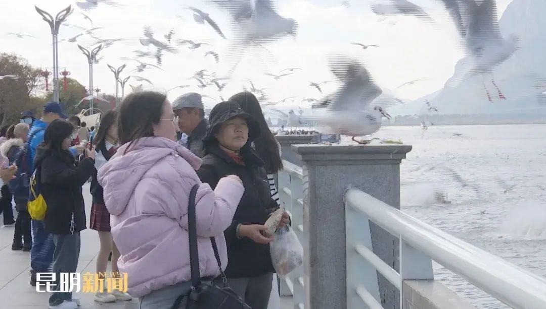 昆明生态环境