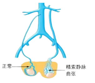 昆明市中医医院