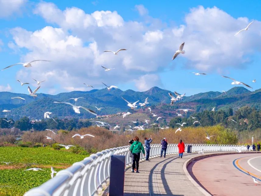 晋宁 诗意的栖居地