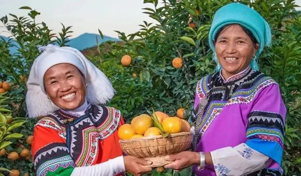 云南省人民政府