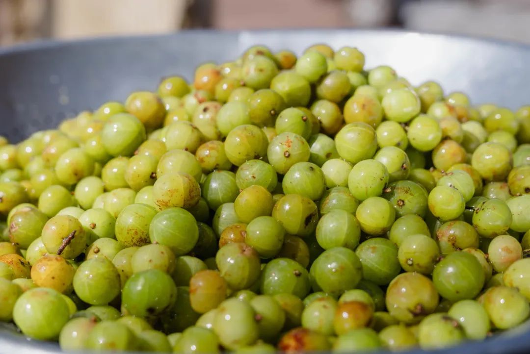 晋宁 诗意的栖居地