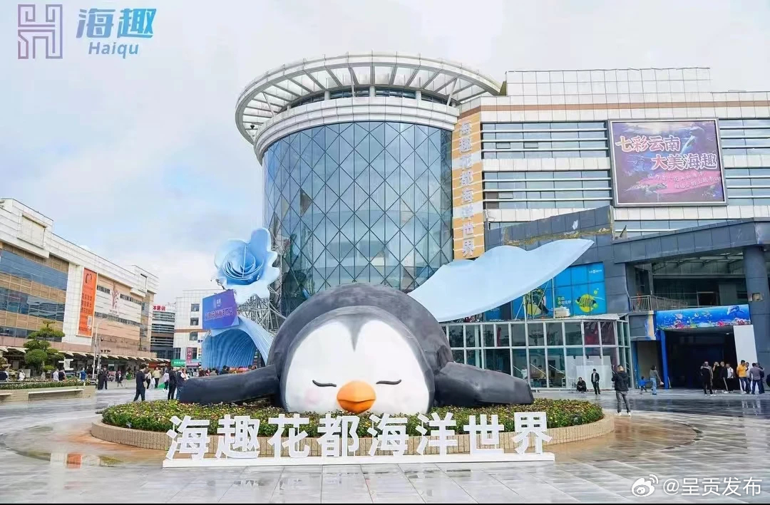 呈贡发布