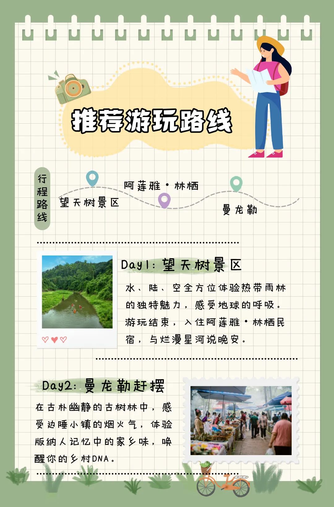 西双版纳望天树景区