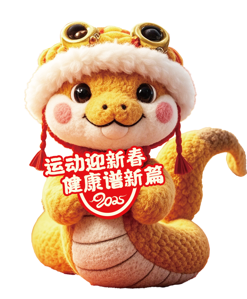 盘龙教育