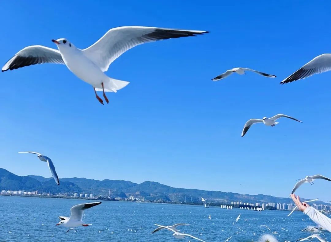 昆明文旅