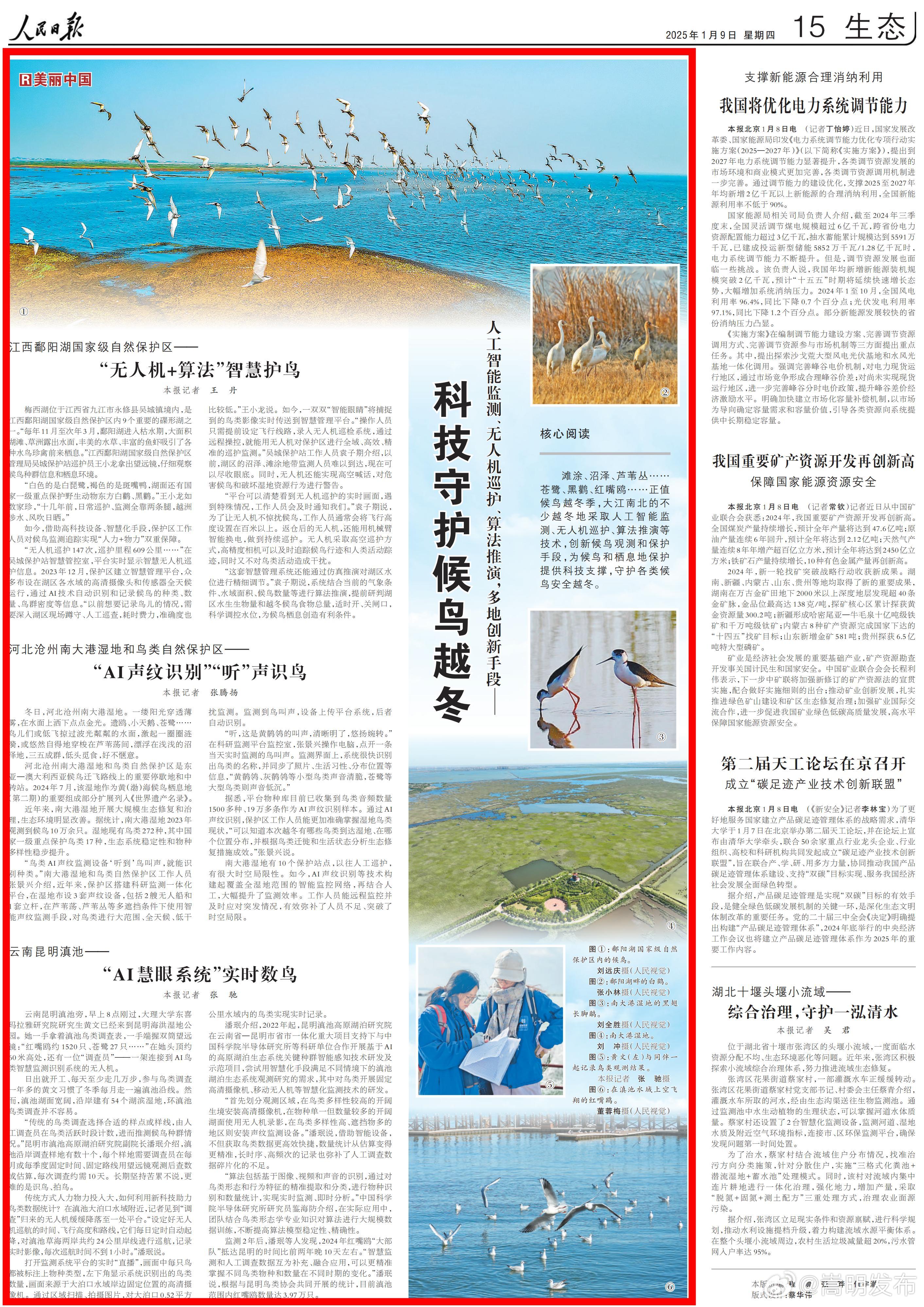 AI数鸟，人民日报生态版头条点赞云南昆明科技守护候鸟