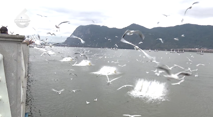 8099999街头巷尾微信