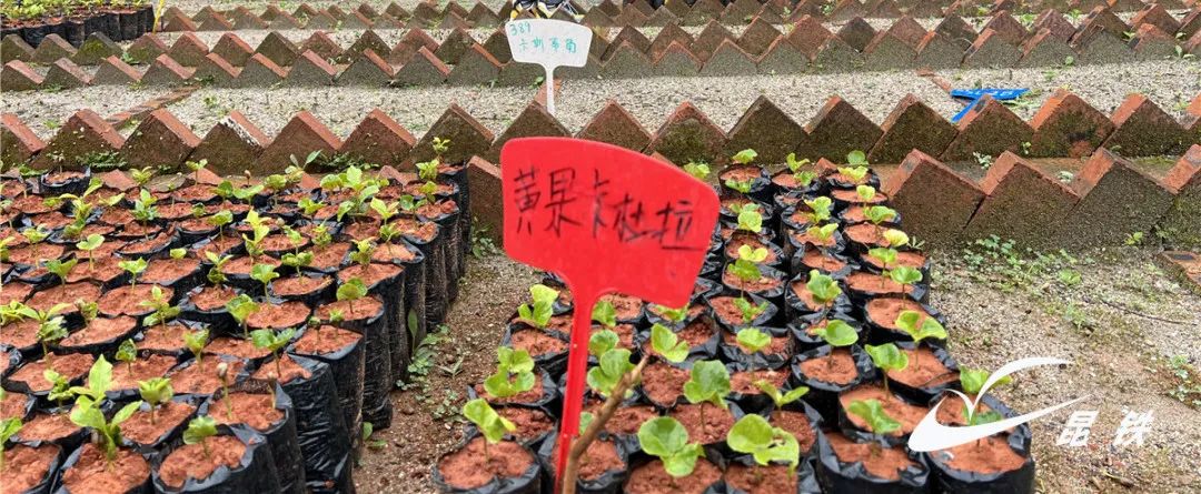 昆明铁路