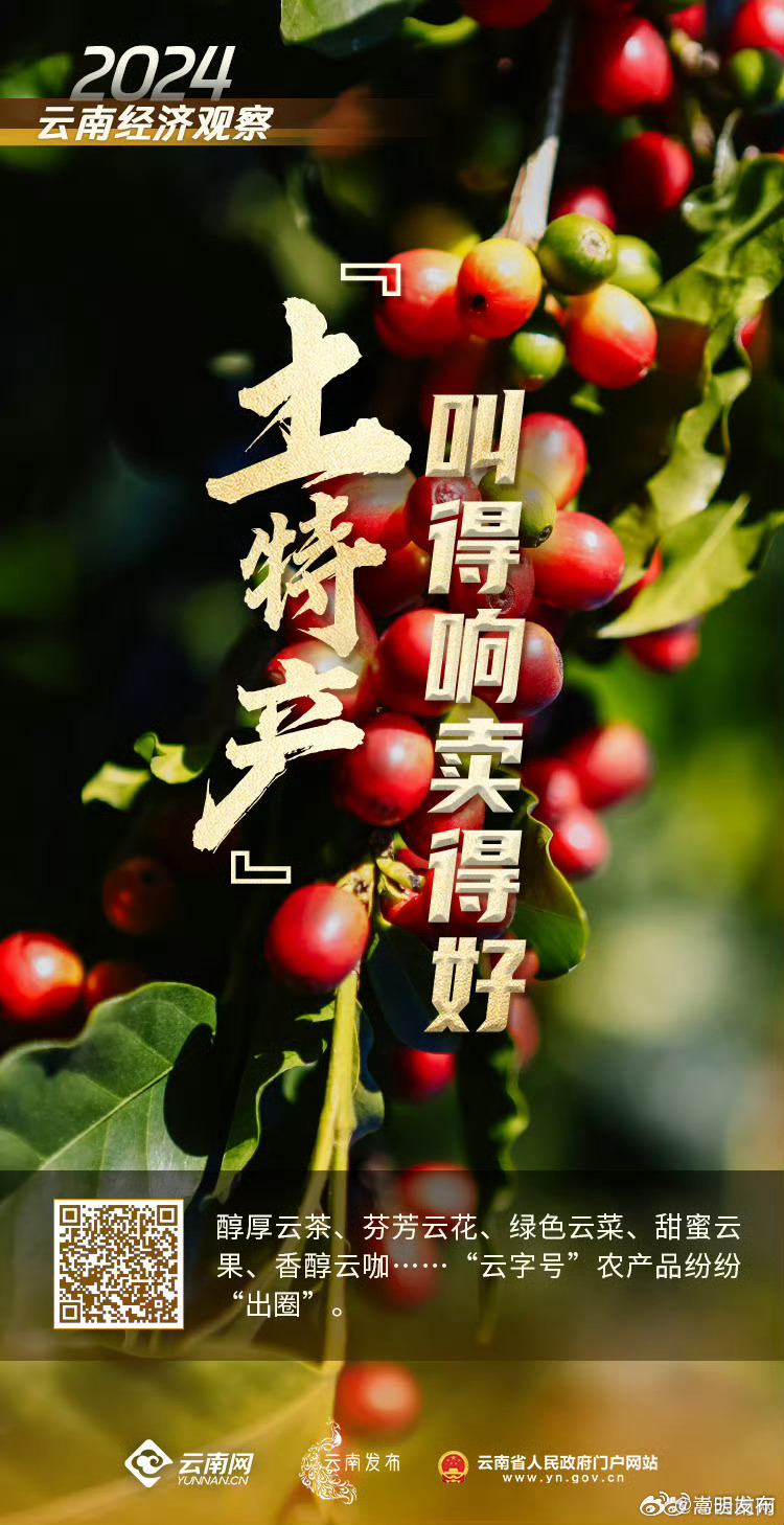 云南土特产叫得响卖得好