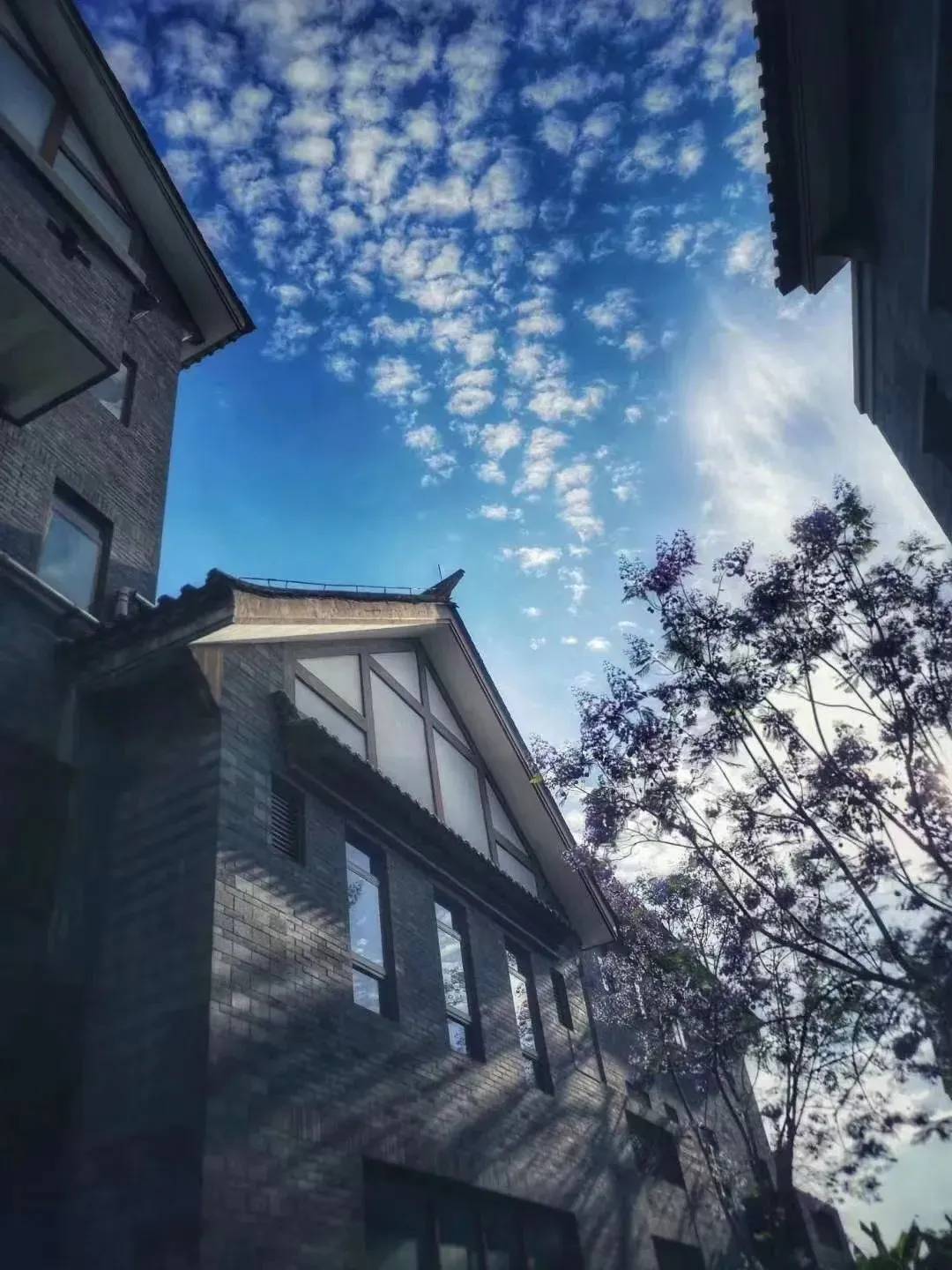 昆明文旅
