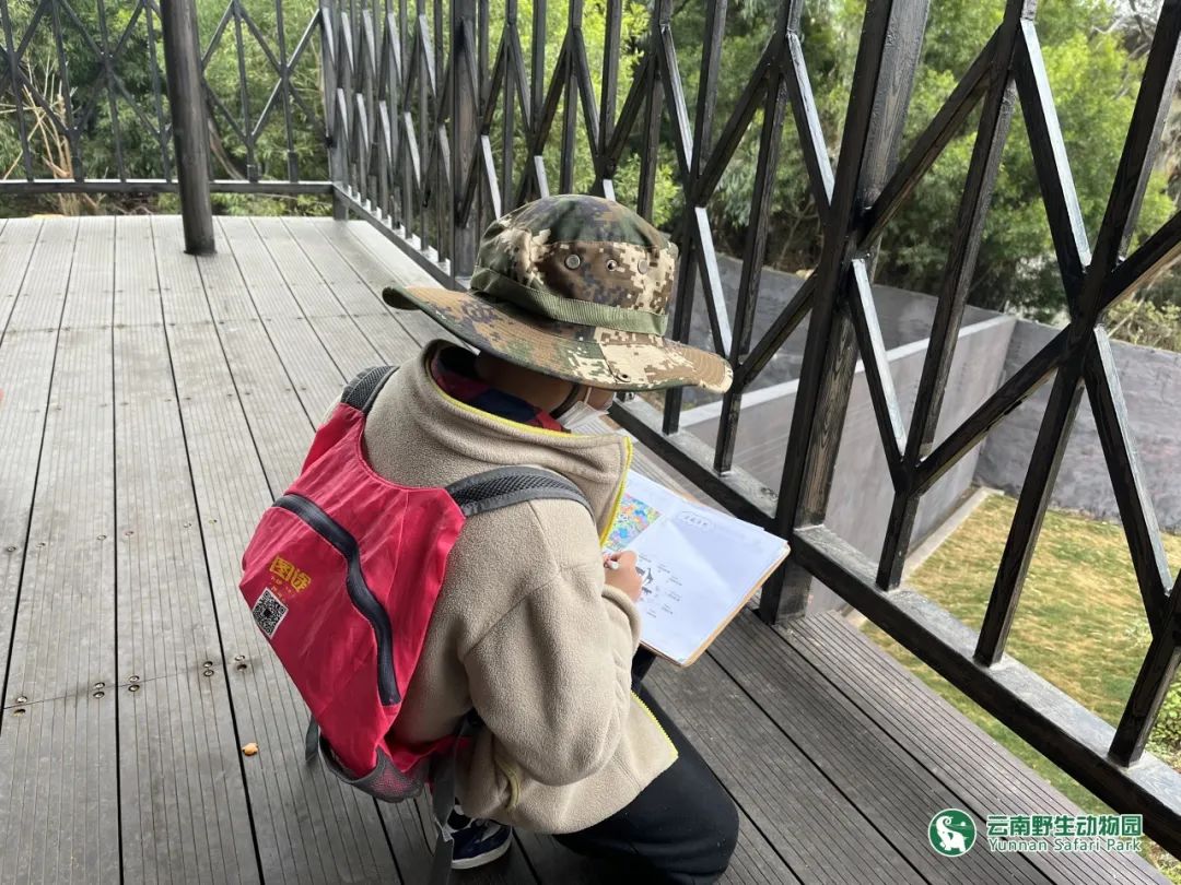 云南野生动物园