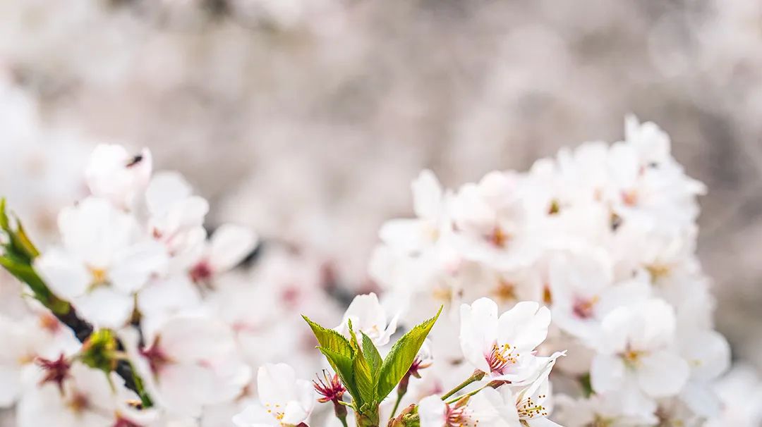 昆明市第一人民医院