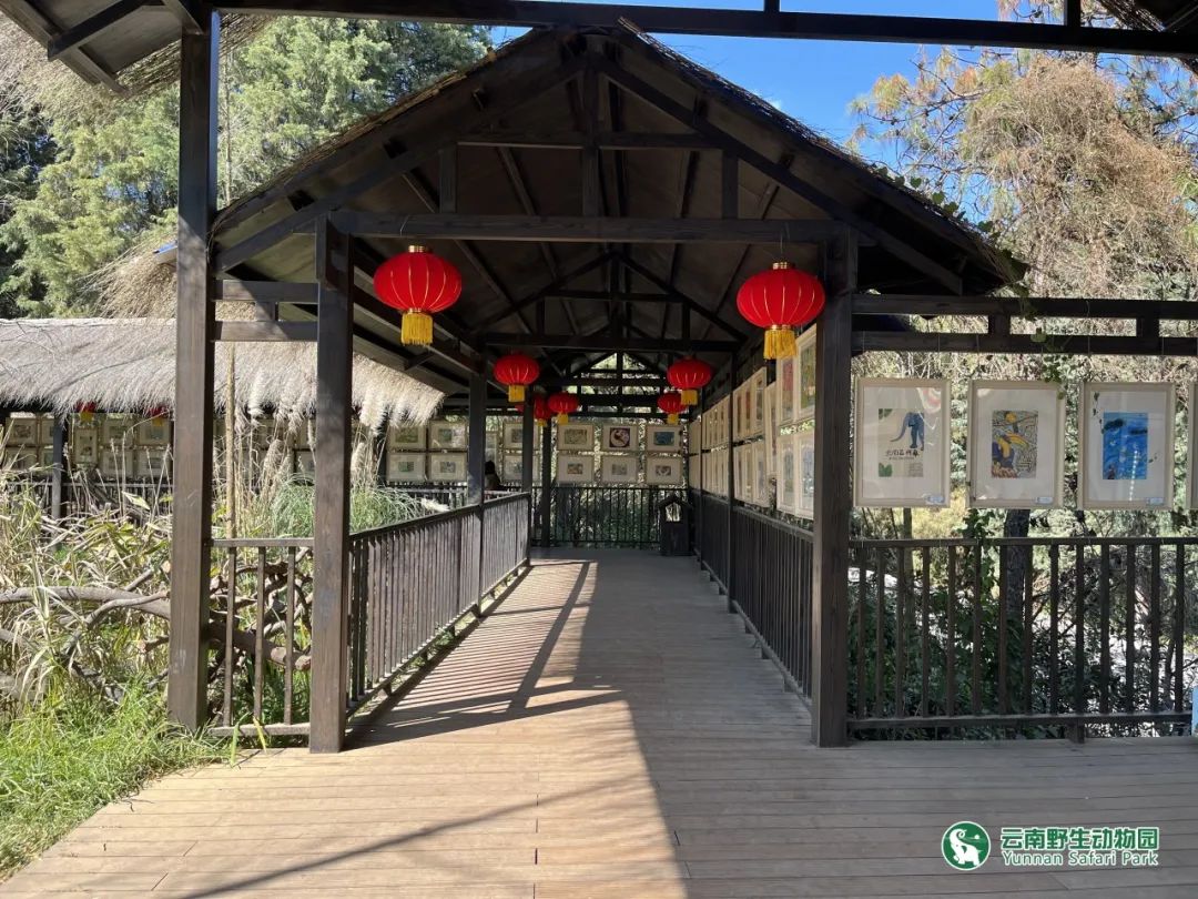 云南野生动物园
