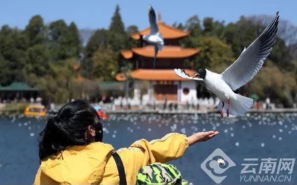 昆明文旅