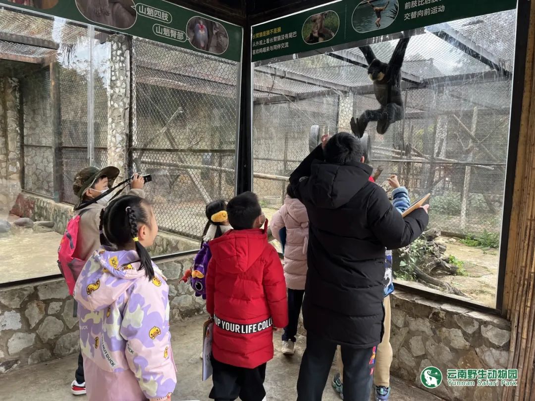 云南野生动物园