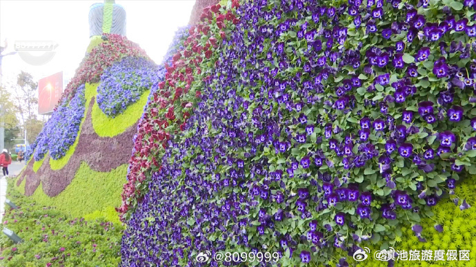 滇池旅游度假区