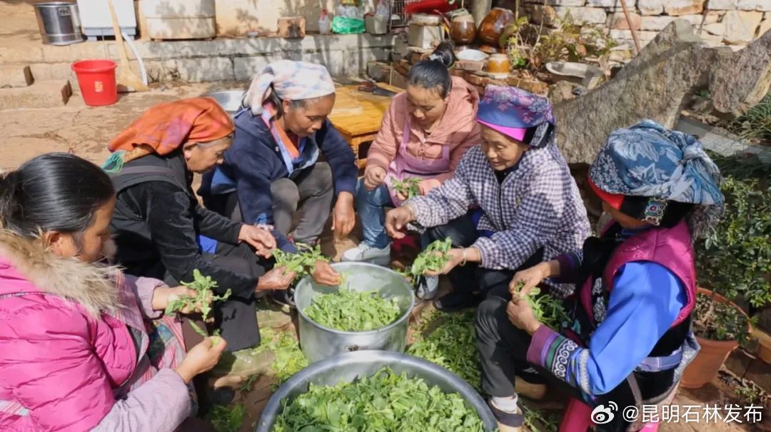昆明石林发布