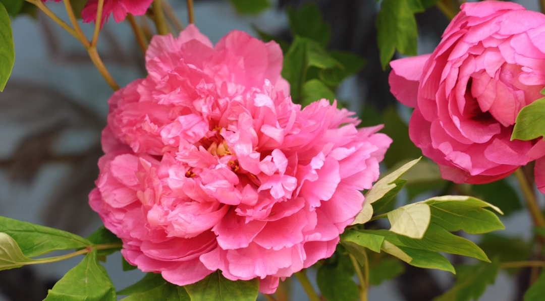 昆明广播电视台经济生活频道