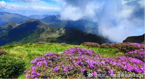 昆明公交集团有限责任公司